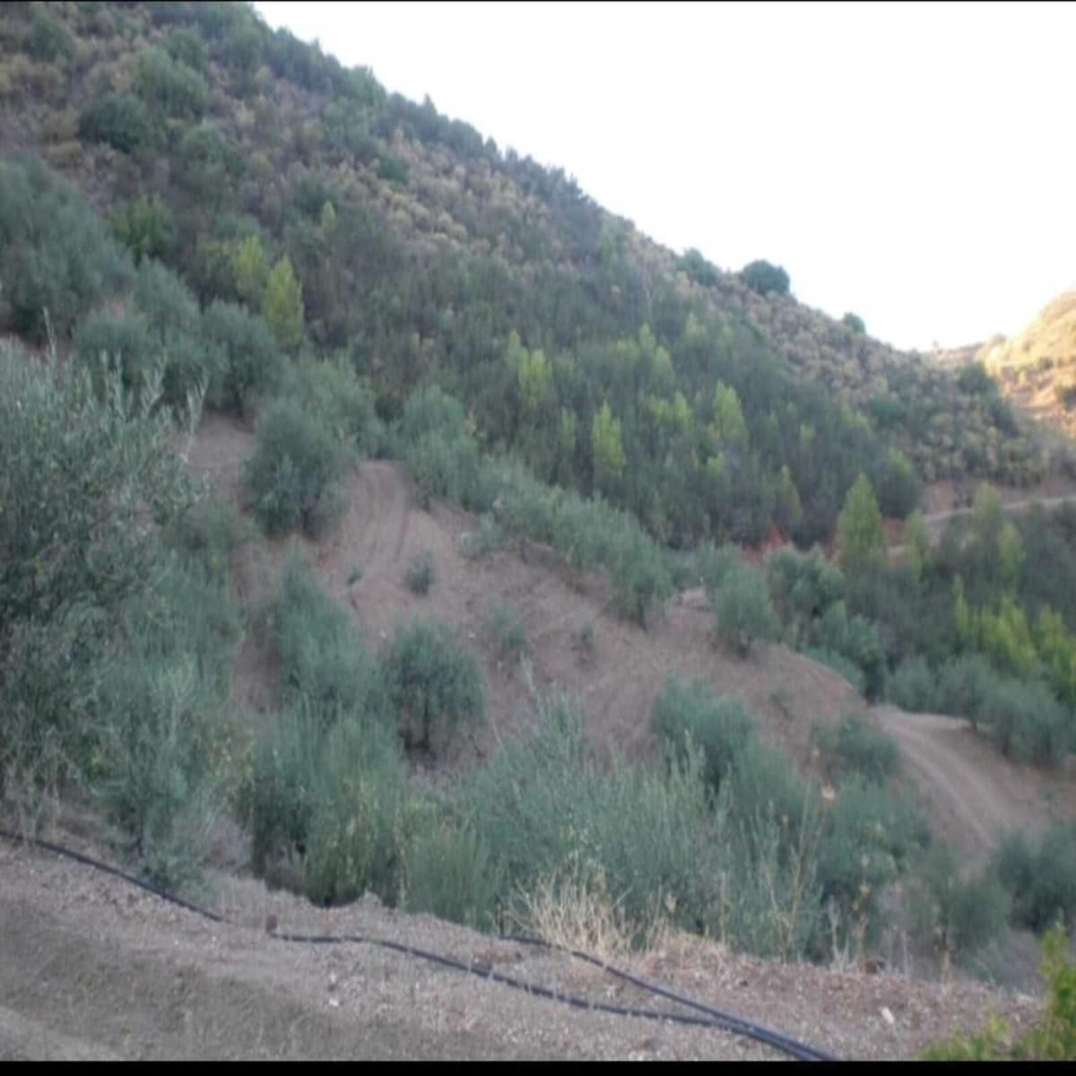 Kavel in Monda in Monda - foto 9