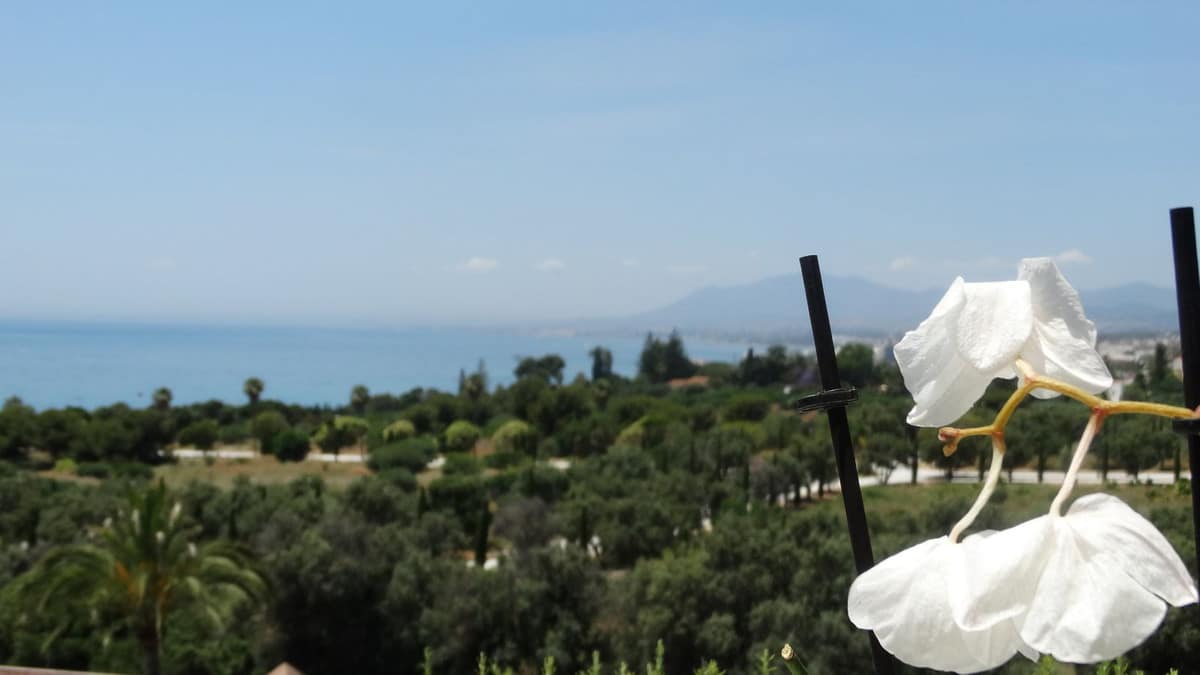 Drie-slaapkamer penthouse in Río Real in Río Real - foto 4