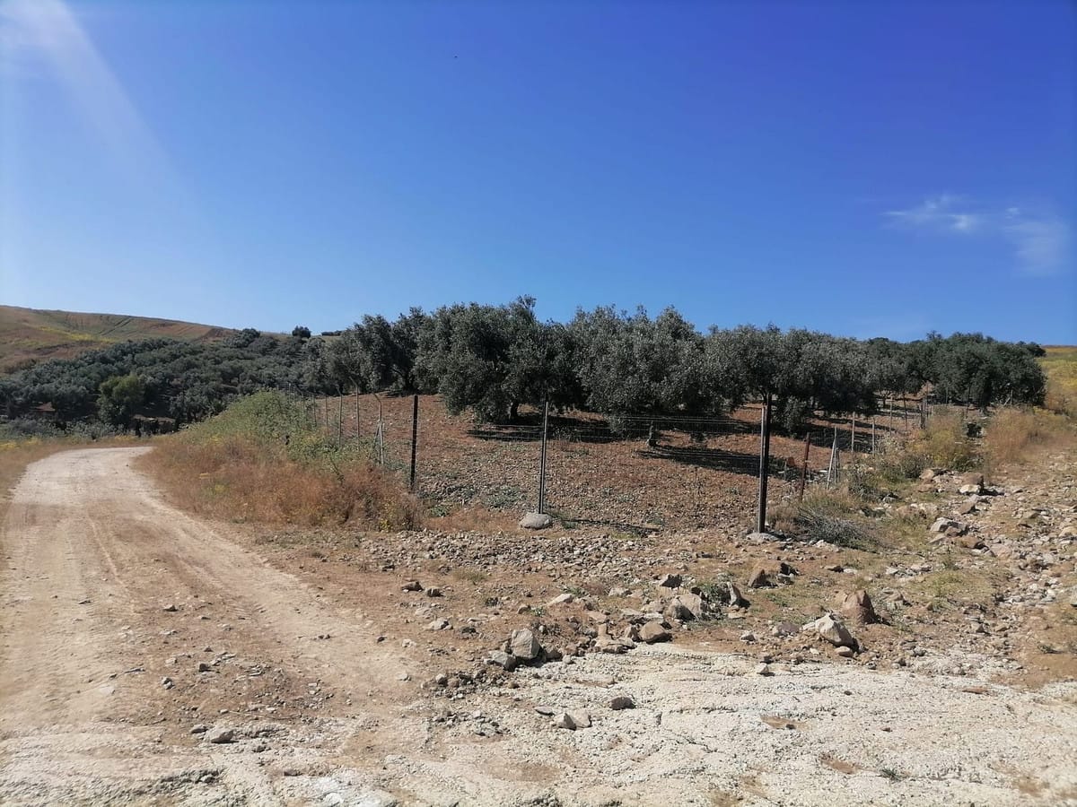 4-slaapkamer finca in Coín met privézwembad en berg- en daluitzicht in Coín - foto 5