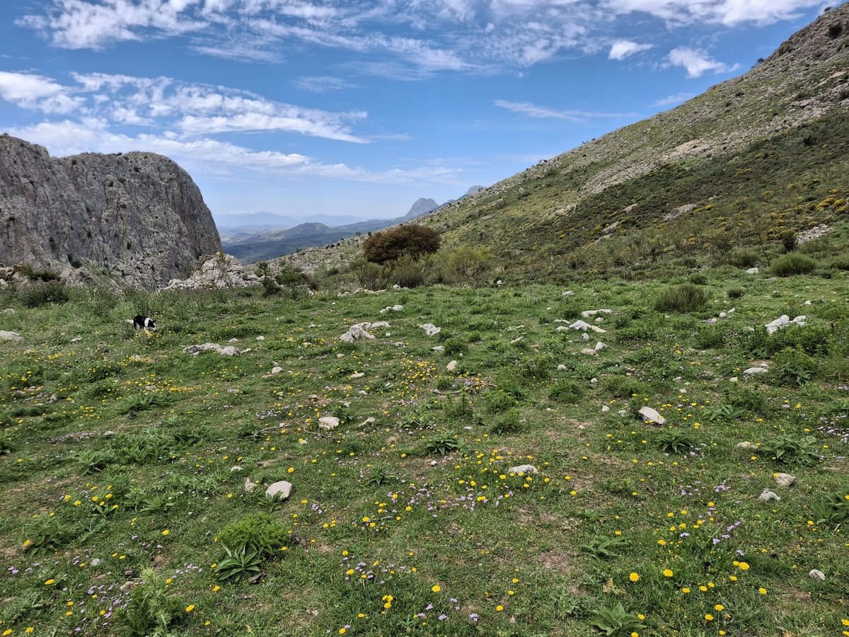 Kavel in Alfarnatejo – Natuurlijk paradijs te koop in Alfarnatejo - foto 2