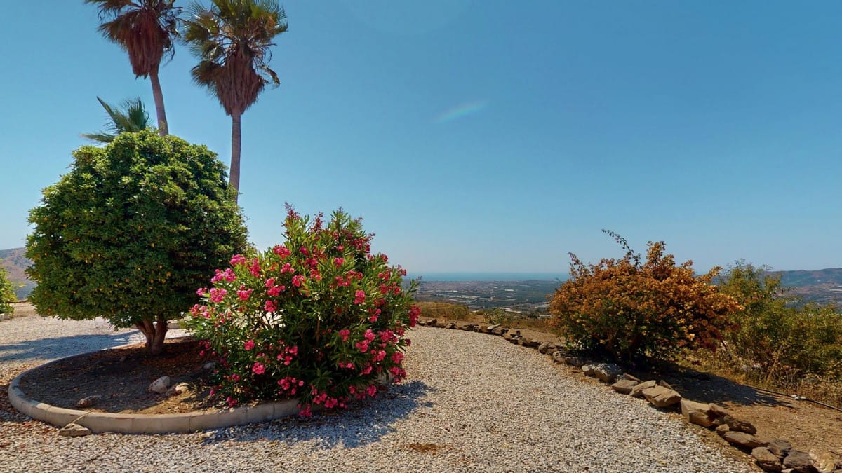 Villa met 4 slaapkamers in El Trapiche in El Trapiche - foto 8