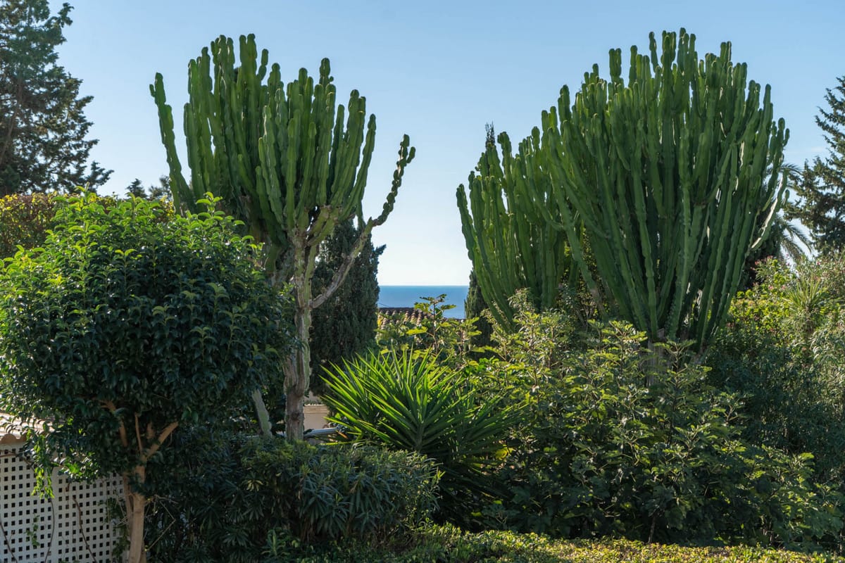 6-slaapkamer villa in El Rosario in El Rosario - foto 19