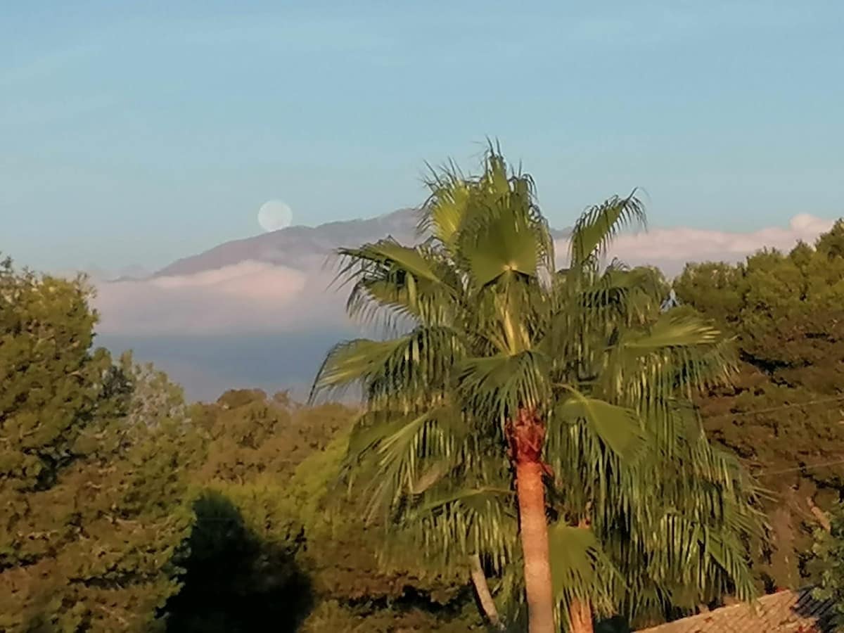 Appartement met 1 slaapkamer in El Paraiso, Málaga in El Paraiso - foto 18