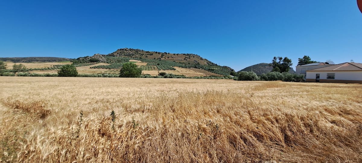 Bouwkavel met 31 kavels, wegen en groenvoorzieningen in Cuevas del Becerro (8191 m2) in Cuevas del Becerro - foto 8