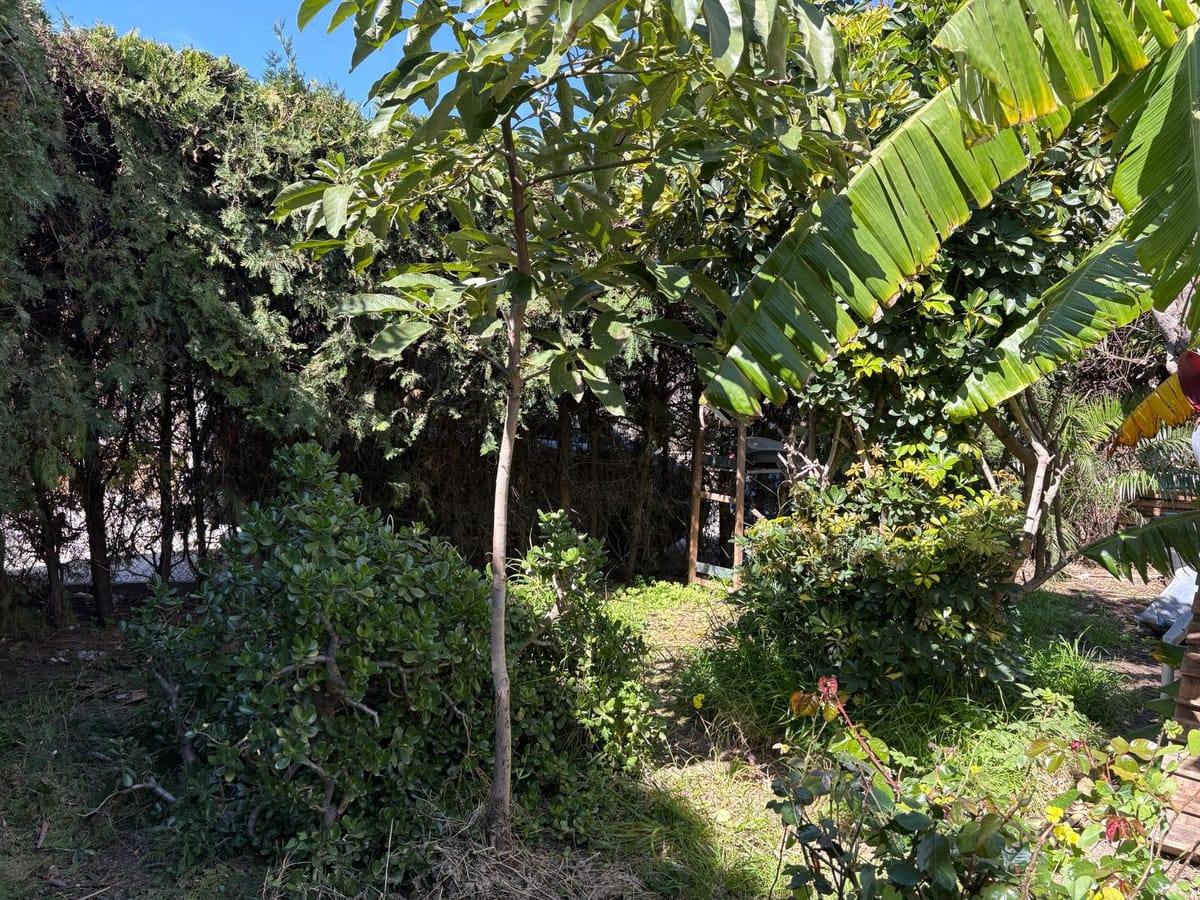 Rijtjeshuis met 5 slaapkamers in Estepona in Estepona - foto 8