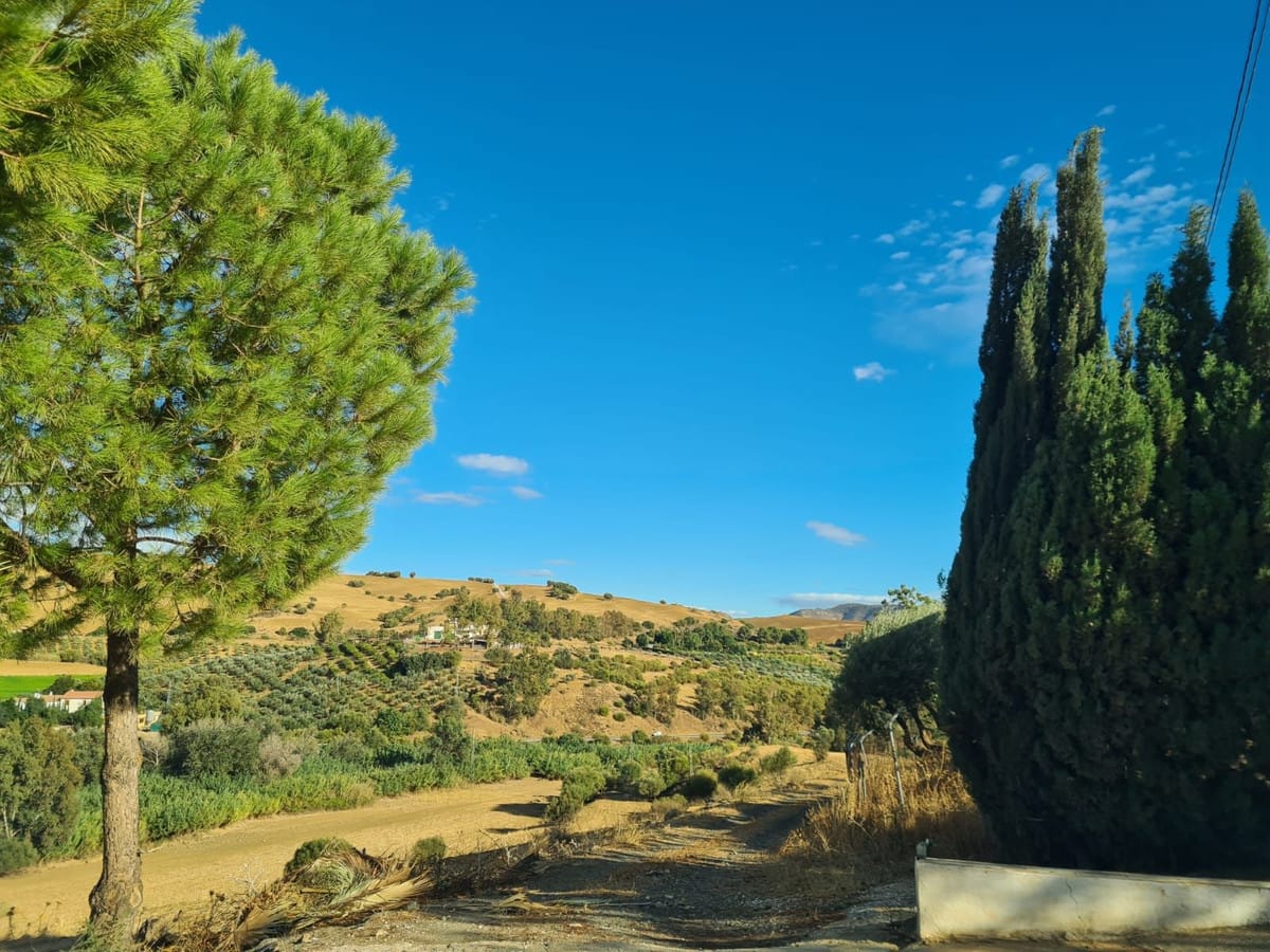 Finca met 3 slaapkamers in Pizarra in Pizarra - foto 17