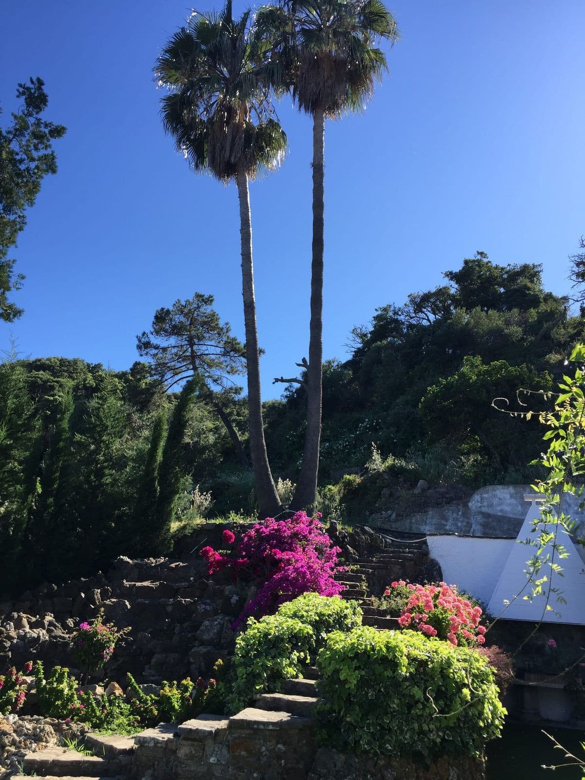 7-slaapkamer finca in Algeciras met privézwembad in Algeciras - foto 2