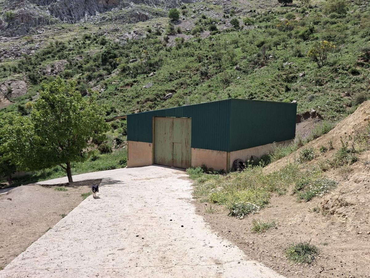 Kavel in Alfarnatejo – Natuurlijk paradijs te koop in Alfarnatejo - foto 7