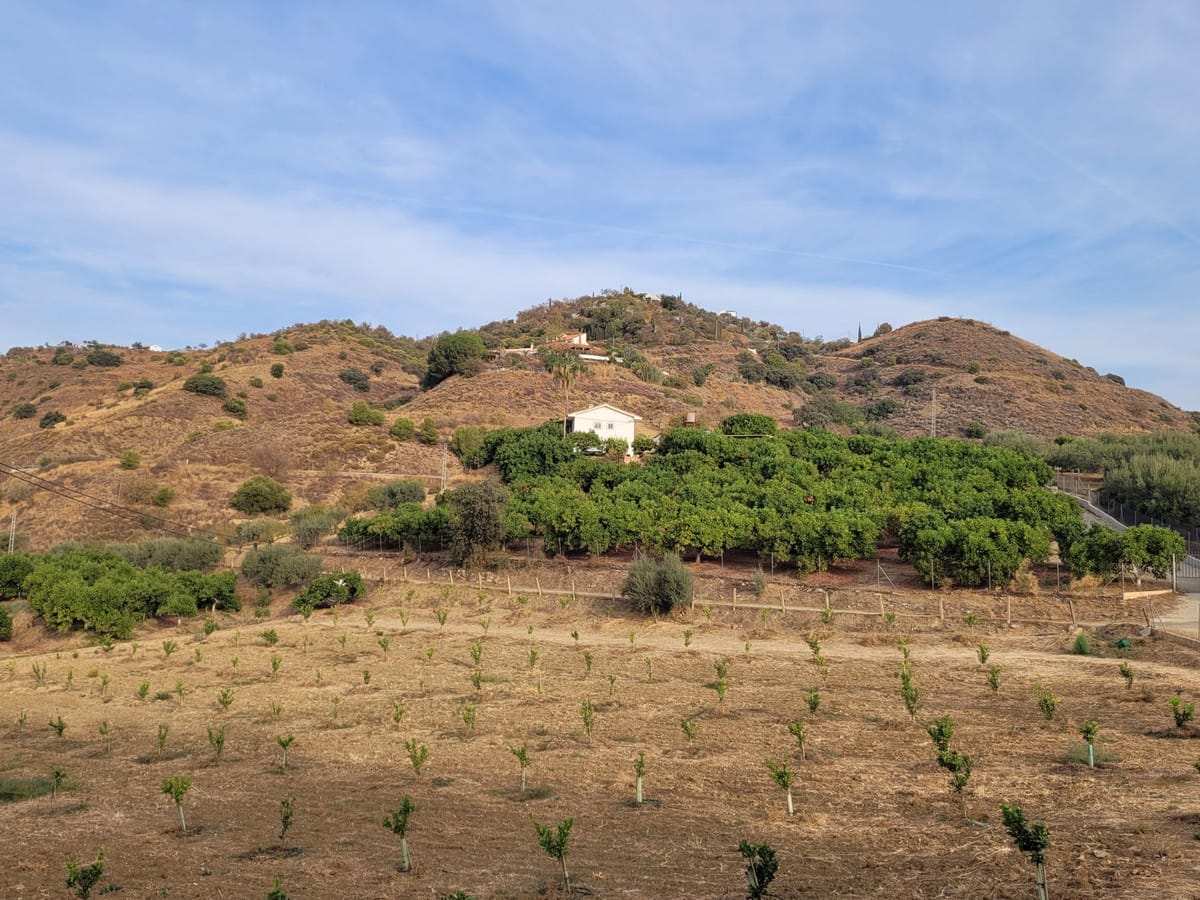 Kavel in Guaro in Guaro - foto 2