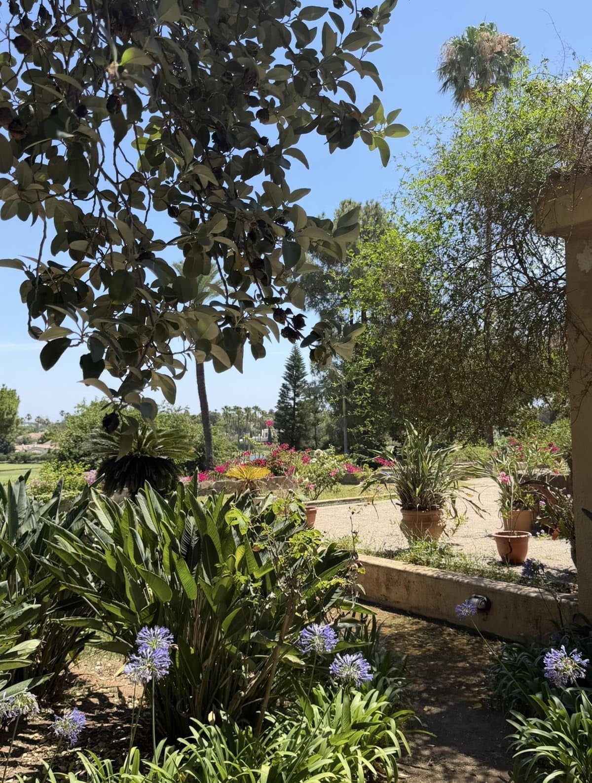 5-slaapkamer villa in Sotogrande Costa – frontlijn golf en herontwikkelingskans in Sotogrande Costa - foto 4