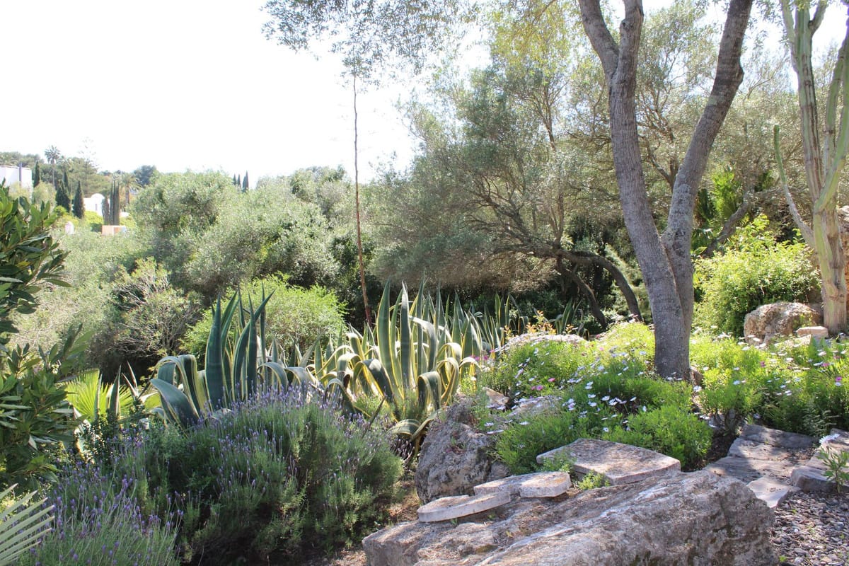 Villa met 5 slaapkamers in Sotogrande Costa in Sotogrande Costa - foto 11