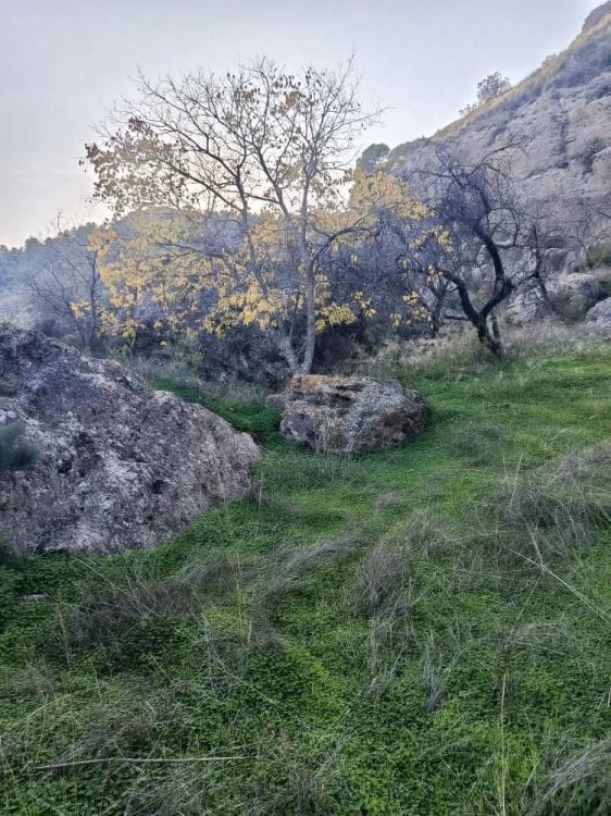 Kavel in Álora in Alora - foto 11