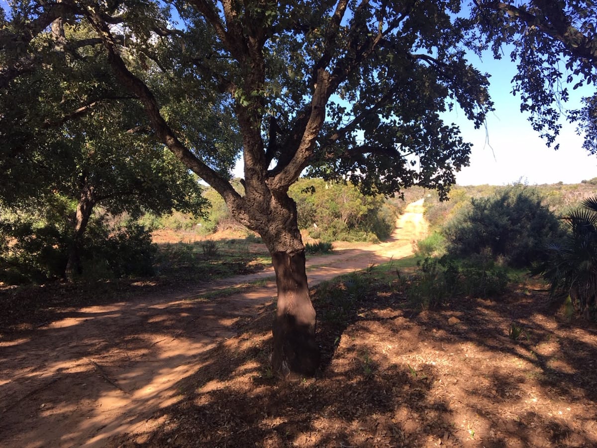 Perceel te koop in Manilva, Costa del Sol in Manilva - foto 18