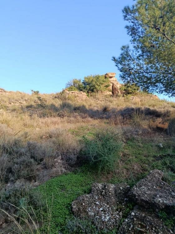 Kavel in Álora in Alora - foto 18