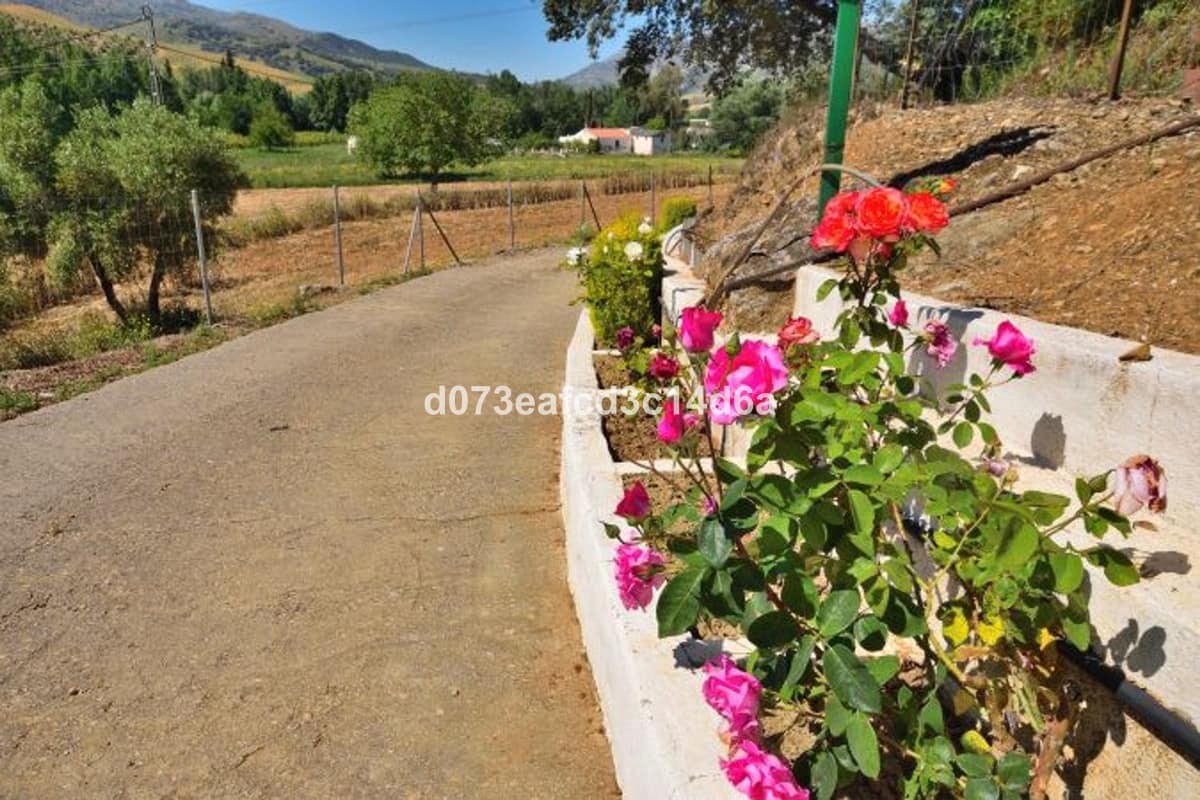 1 bedroom House in Ronda in Ronda - foto 3