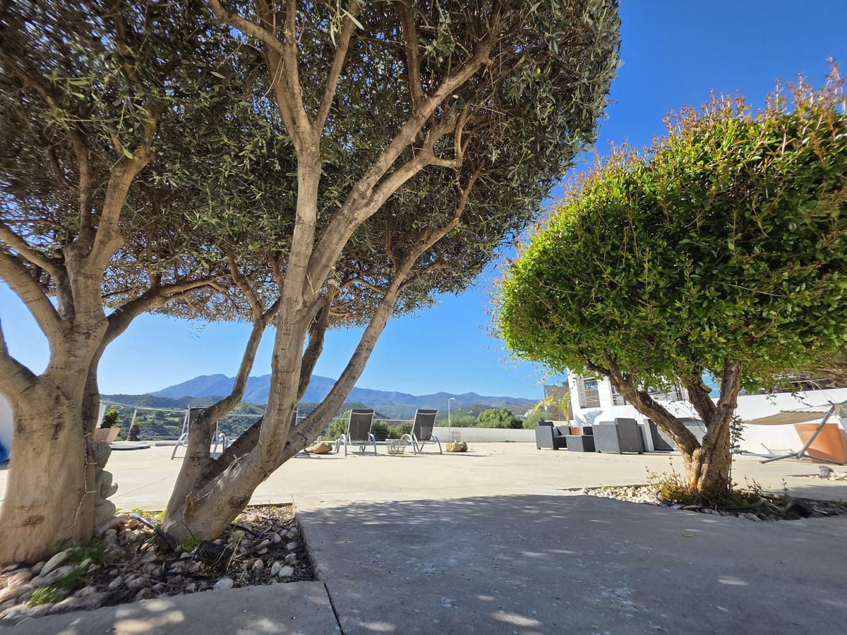 4-slaapkamer villa in Estepona, Puerto Romano in Estepona - foto 3