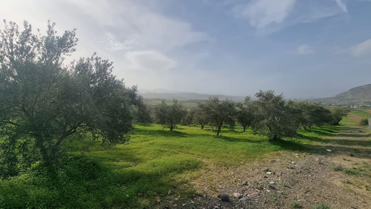 Kavel in Alhaurín el Grande in Alhaurín el Grande - foto 3