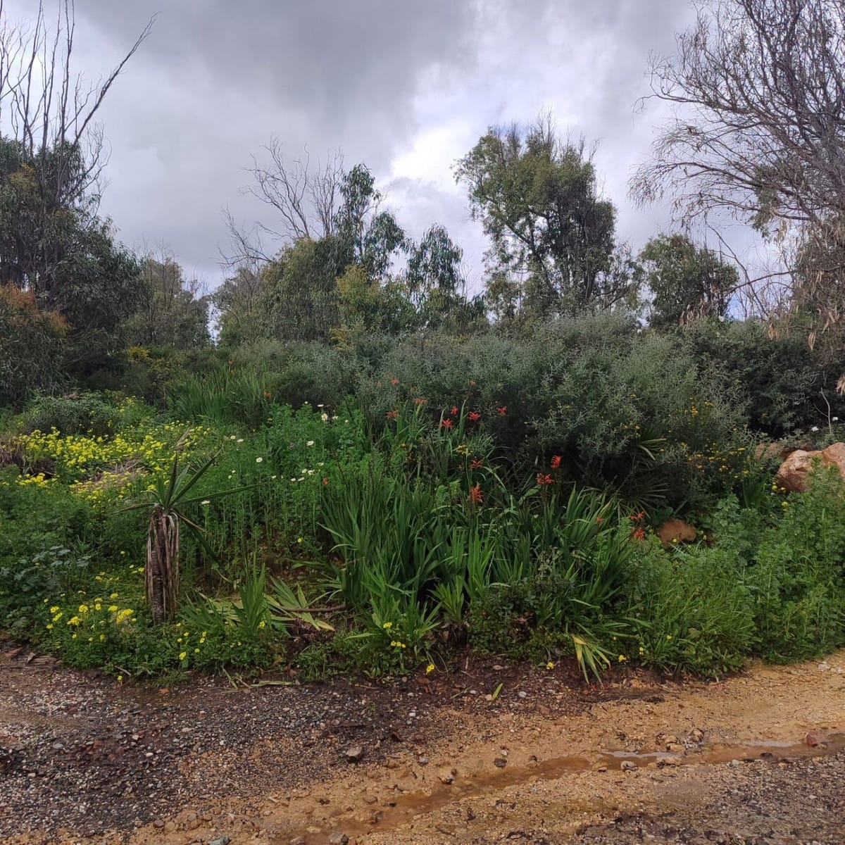 Kavel in Manilva (Chullera Park) – Investering in Manilva - foto 12