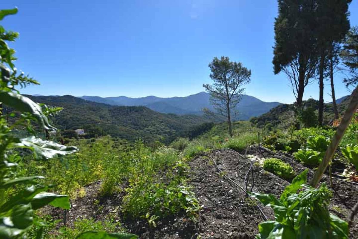Kavel in Gaucín met bergzicht – ontwikkelingskansen in Gaucín - foto 13