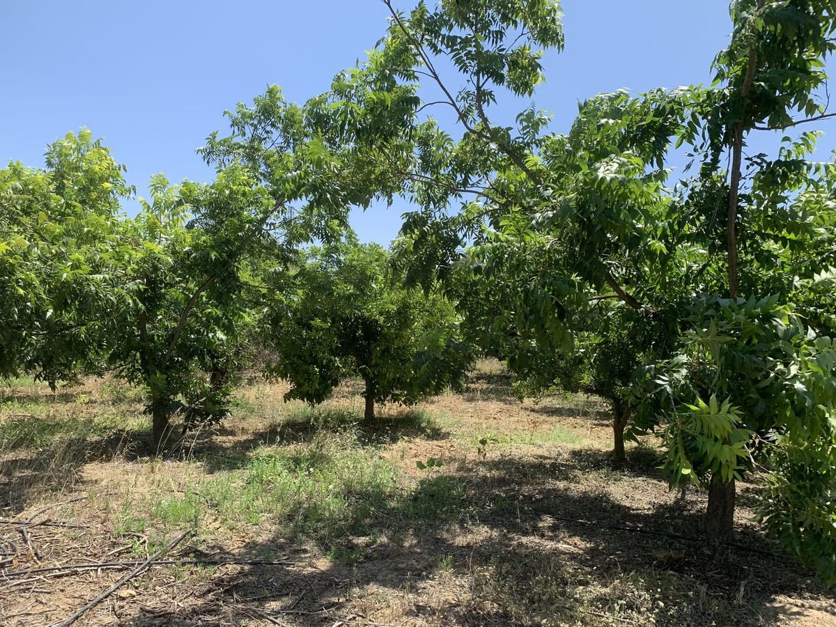 Kavel in Coín, Málaga – €266.500 | Referentie R4372324 in Coín - foto 7