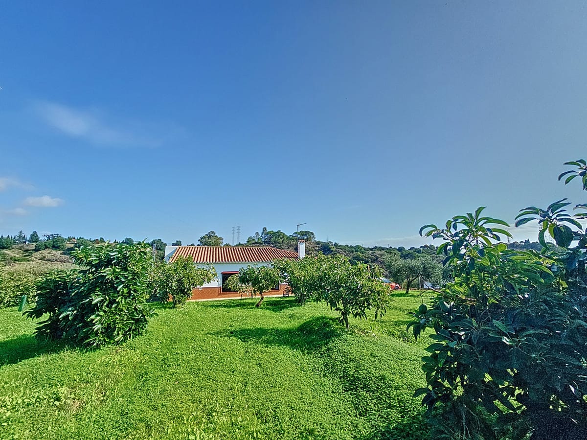 3 bedroom House in El Padron in El Padron - foto 2