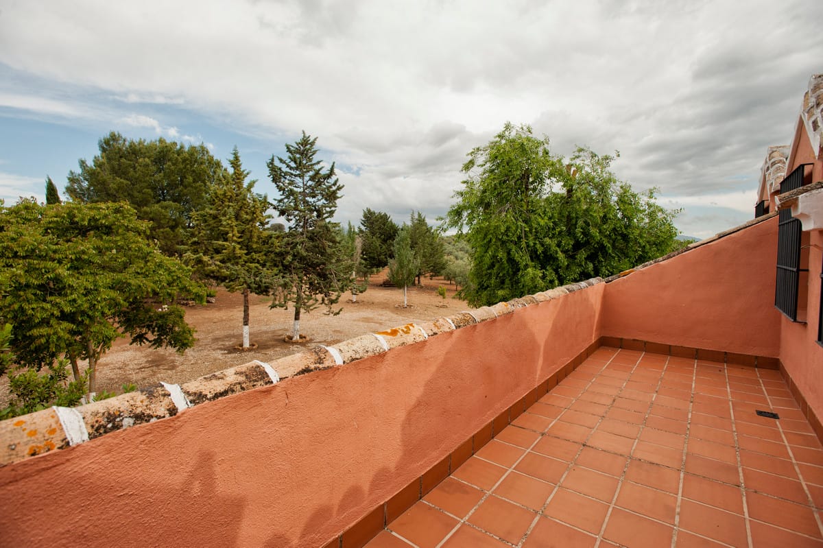 Finca Cortijo met 6 slaapkamers in Archidona (Málaga) in Archidona - foto 3