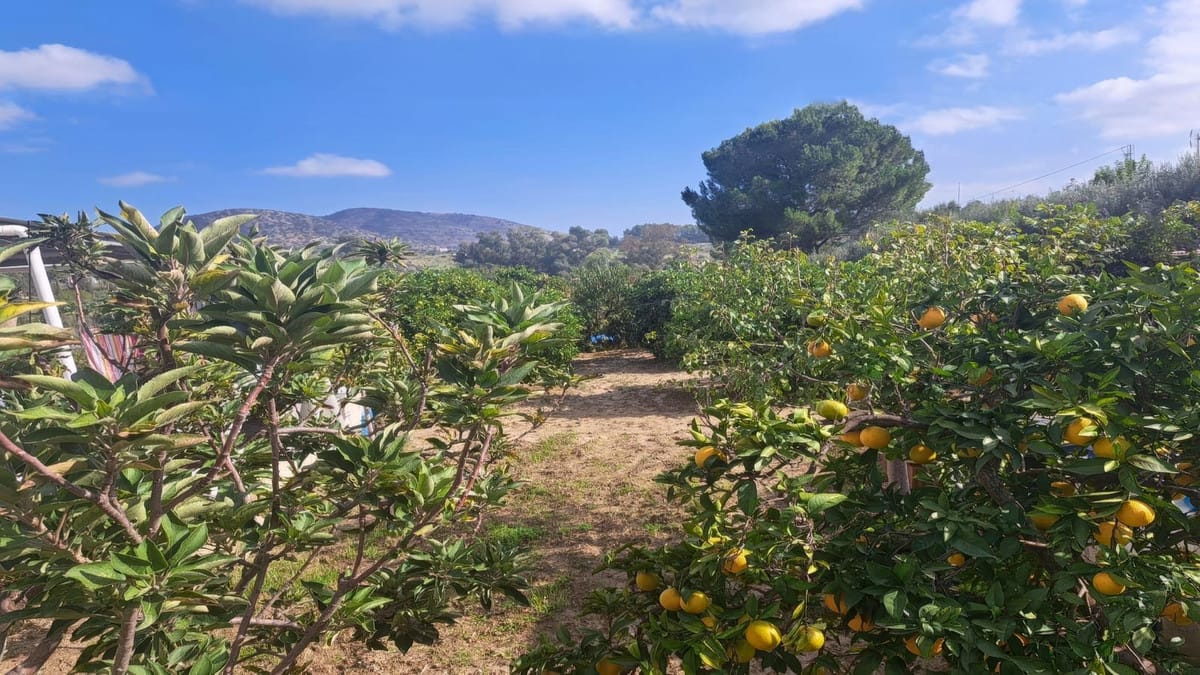 Huis met 4 slaapkamers in Alhaurín el Grande in Alhaurín el Grande - foto 12