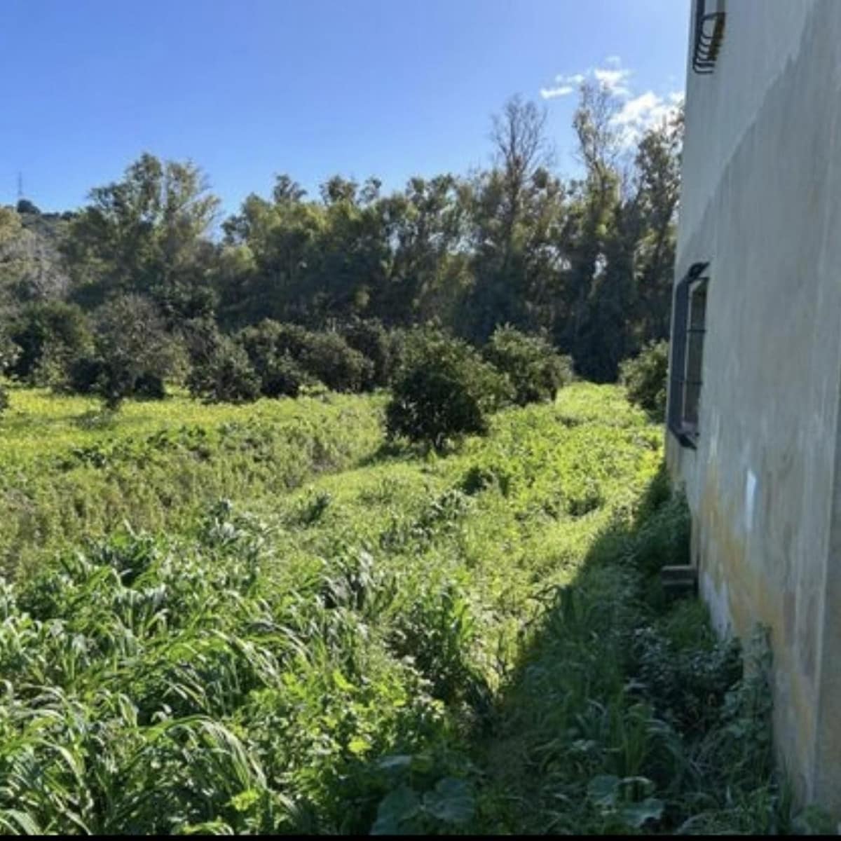 5-slaapkamer villa in San Martín de Tesorillo – ca. 11.000 m² perceel in San Martín de Tesorillo - foto 8