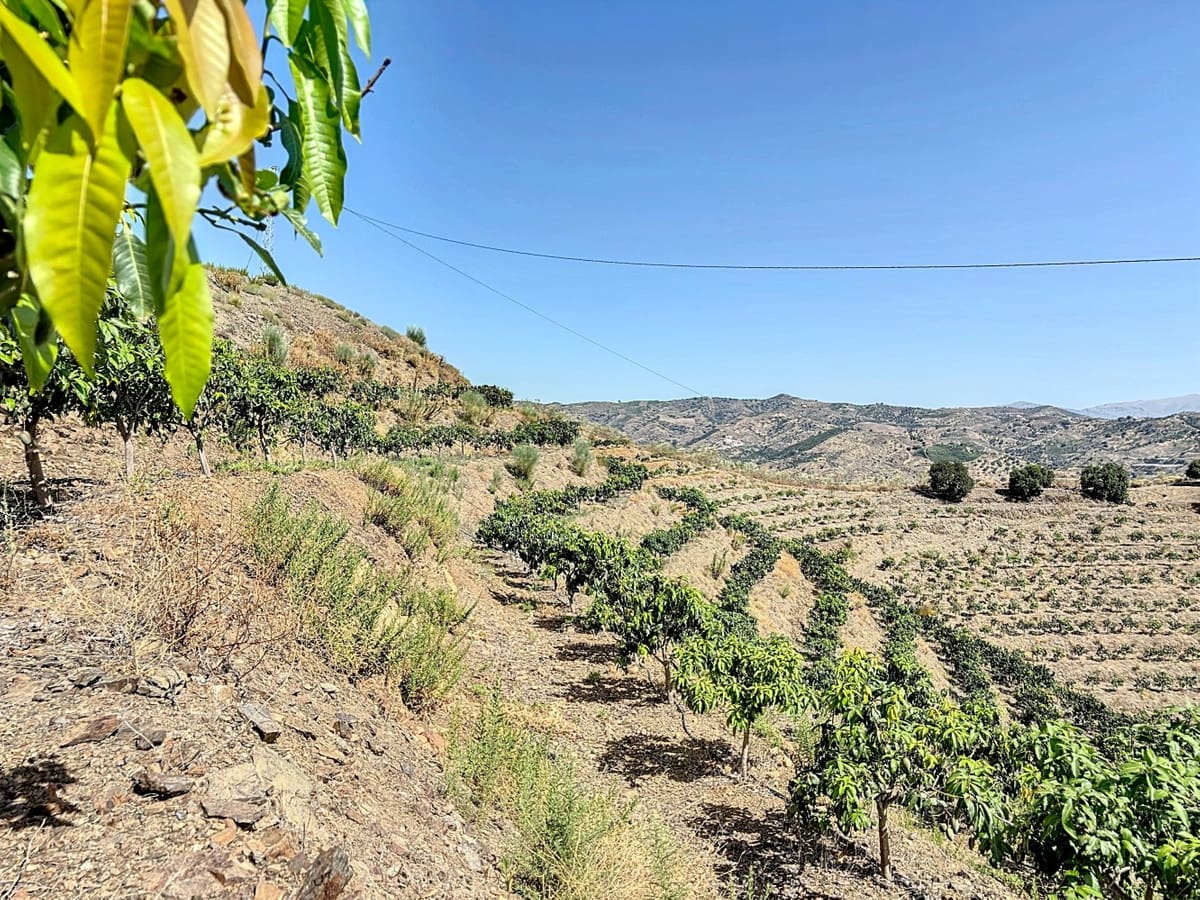 Kavel met 1 slaapkamer in Cajiz — R4854088 in Cajiz - foto 13