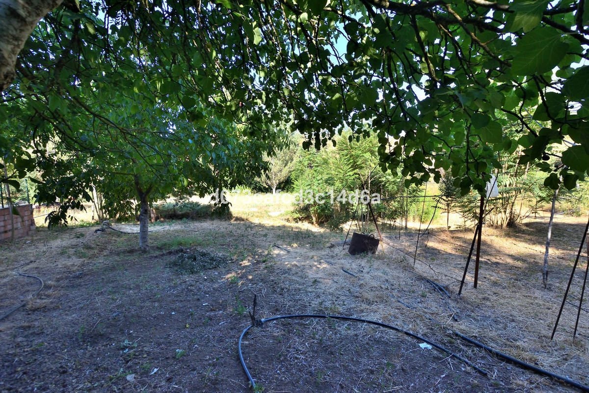 Finca met geïntegreerde woning en pluimveehouderij in Arriate (Málaga) in Arriate - foto 18