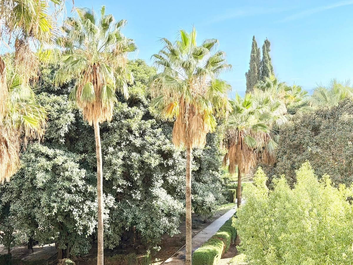 1-slaapkamer appartement in Benalmádena Costa in Benalmadena Costa - foto 9