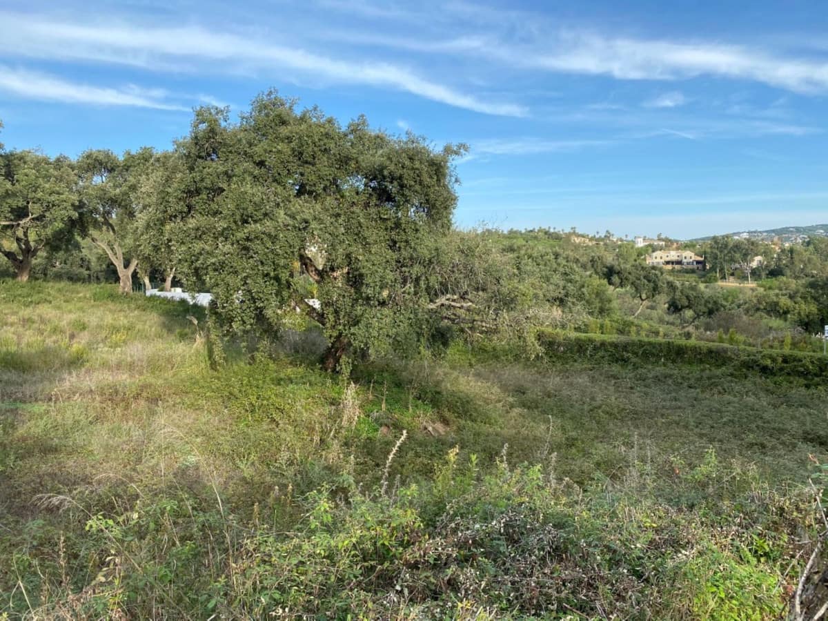 Kavel in San Roque Club, Cádiz (R4616467) in San Roque Club - foto 3