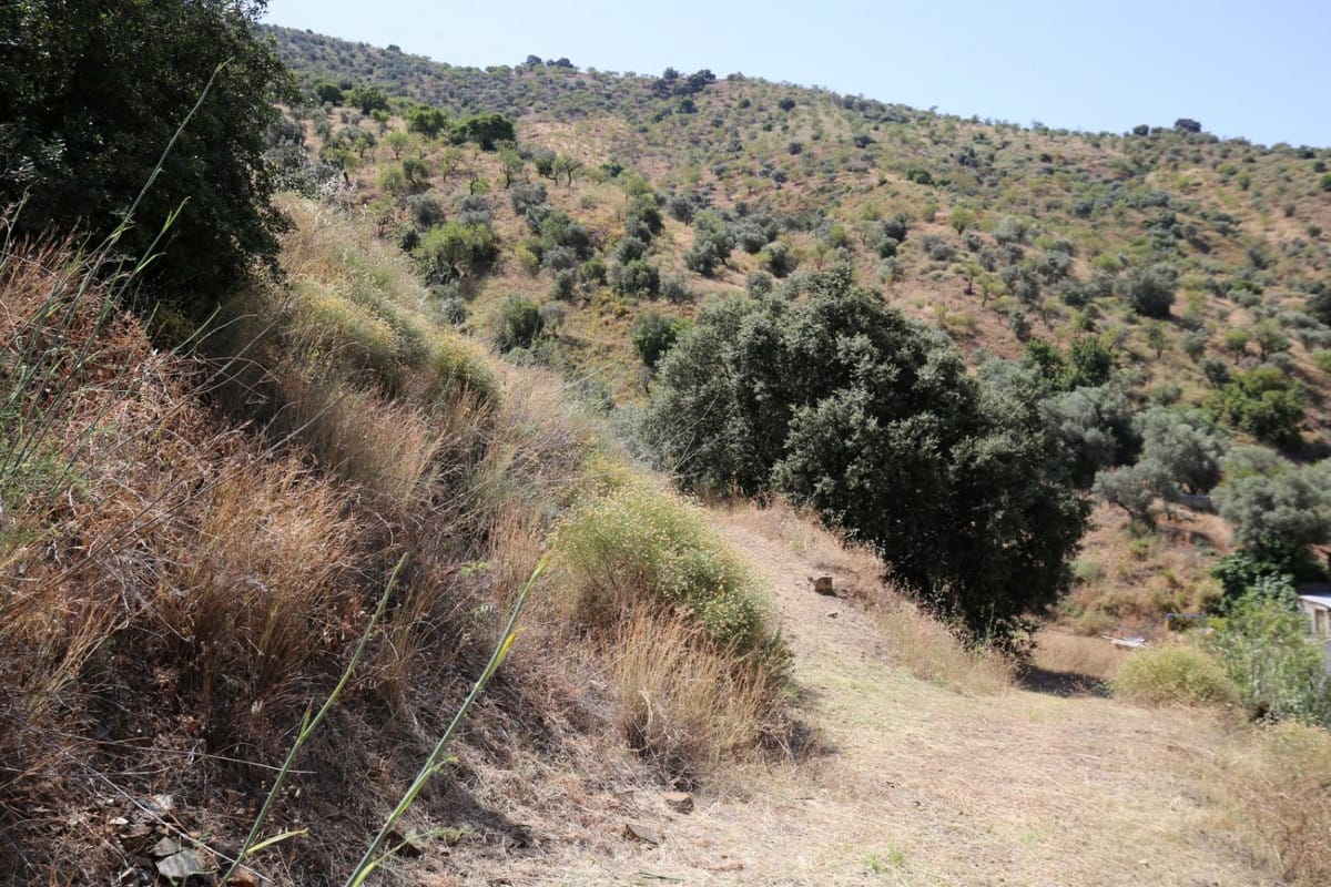 Kavel met 1 slaapkamer in Totalán in Totalán - foto 19