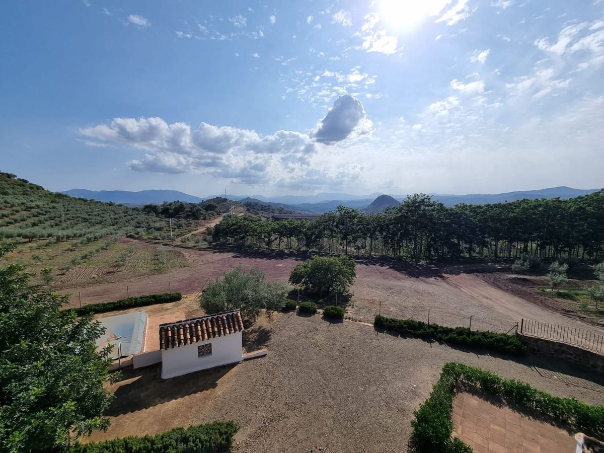 Finca rustica superior met 15 slaapkamers in Málaga in Málaga - foto 9