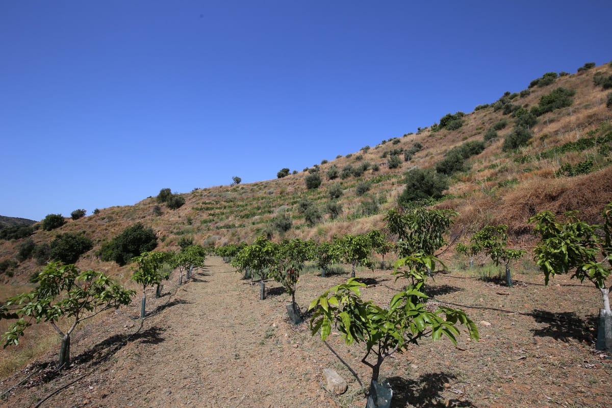 2-slaapkamer finca in Totalán, Málaga in Totalán - foto 17