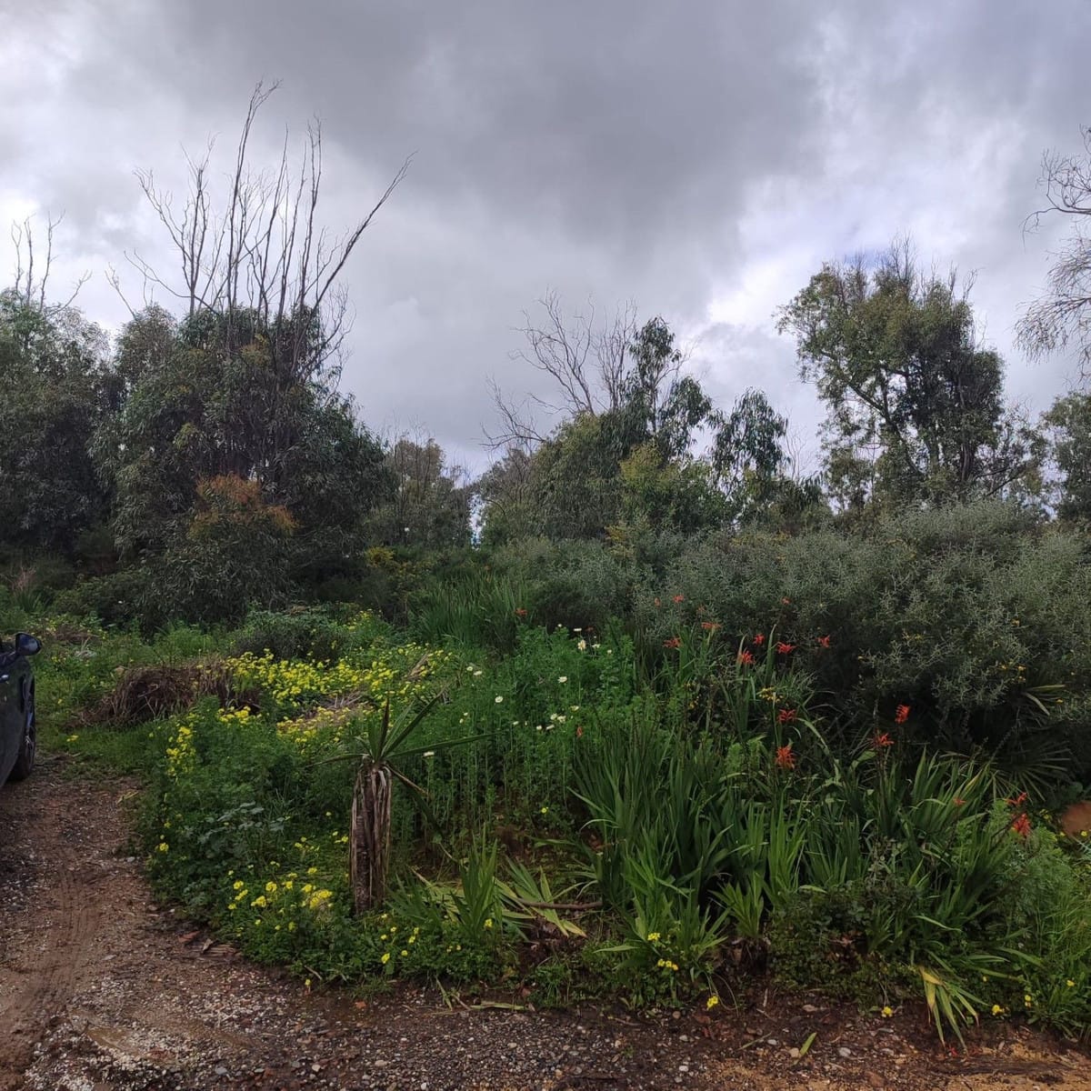 Kavel in Manilva (Chullera Park) – Investering in Manilva - foto 10