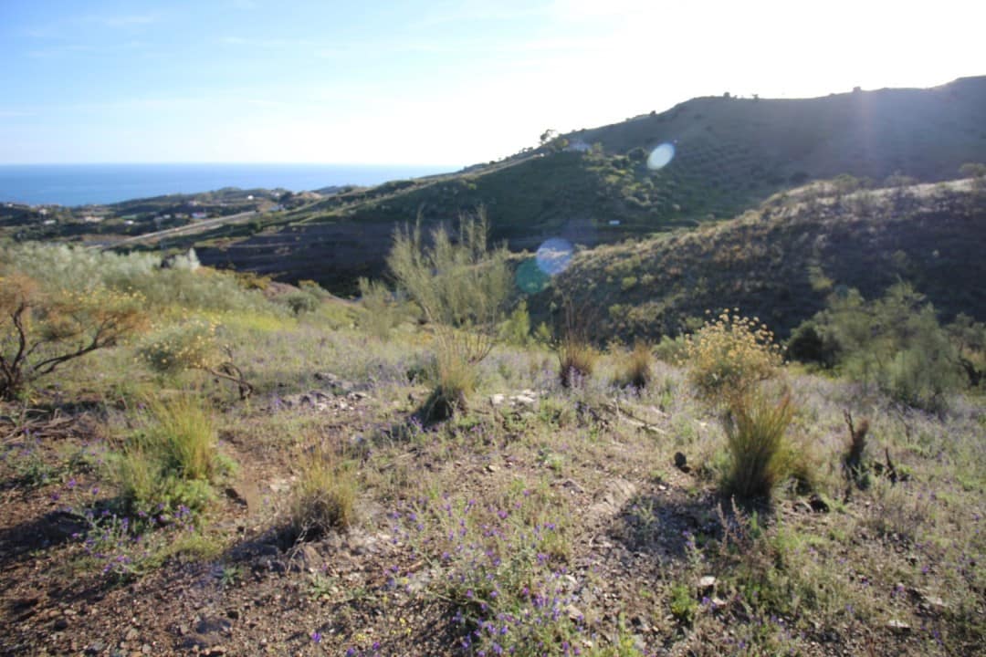 Kavel in Benajarafe in Benajarafe - foto 2