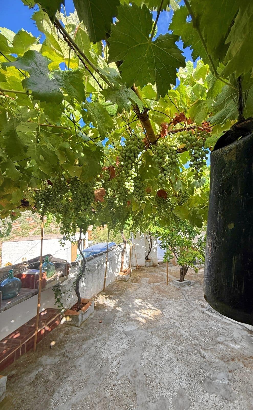 5-slaapkamer finca in Villanueva de Algaidas in Villanueva de Algaidas - foto 5