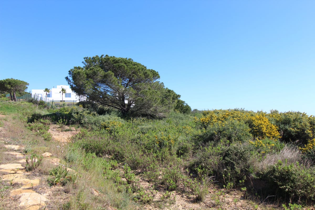 6 bedroom House in Sotogrande in Sotogrande - foto 10