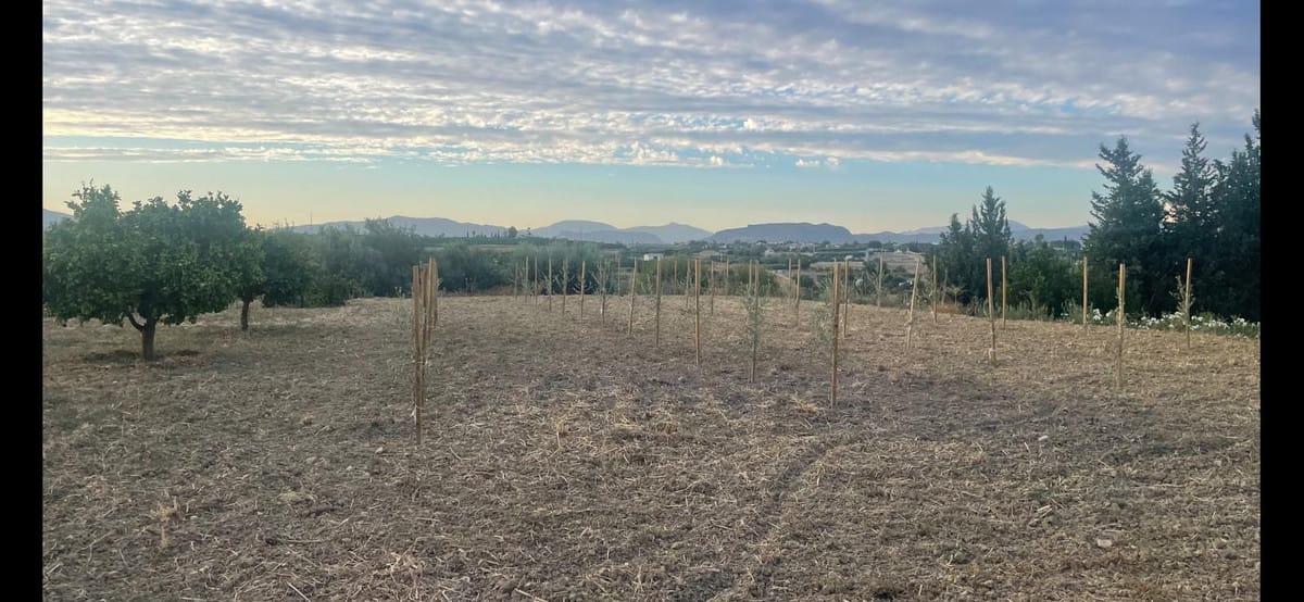 1-slaapkamer villa in Alhaurín el Grande in Alhaurín el Grande - foto 20