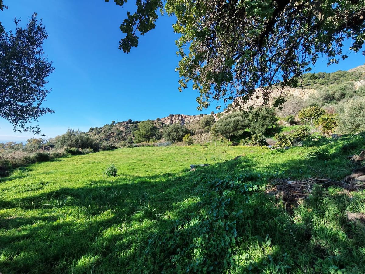 Kavel in Marbella in Marbella - foto 4