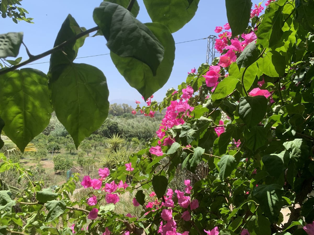 Kavel in Coín, Málaga – €266.500 | Referentie R4372324 in Coín - foto 4