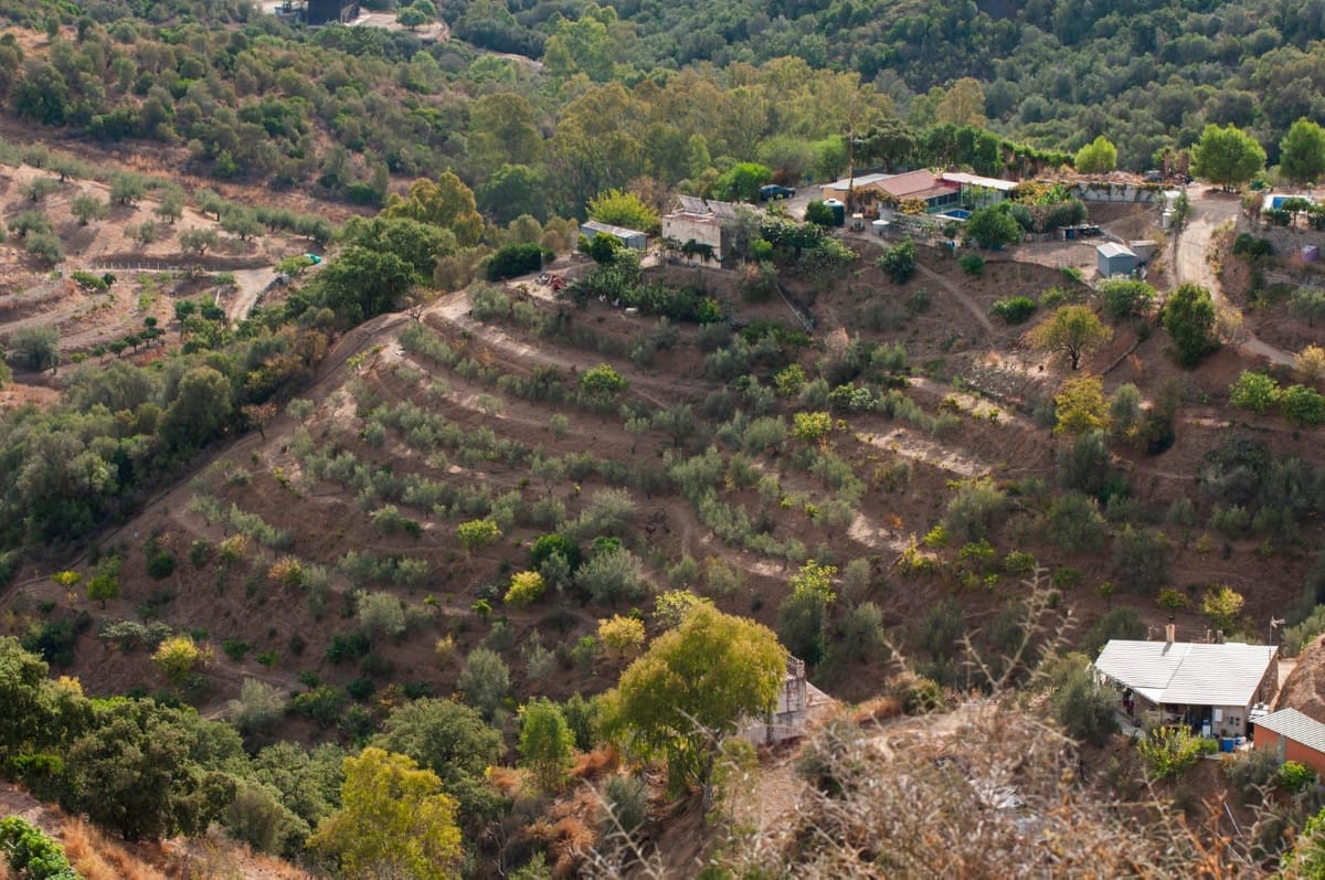 2-slaapkamer Finca in Altos de los Monteros, Málaga in Altos de los Monteros - foto 20