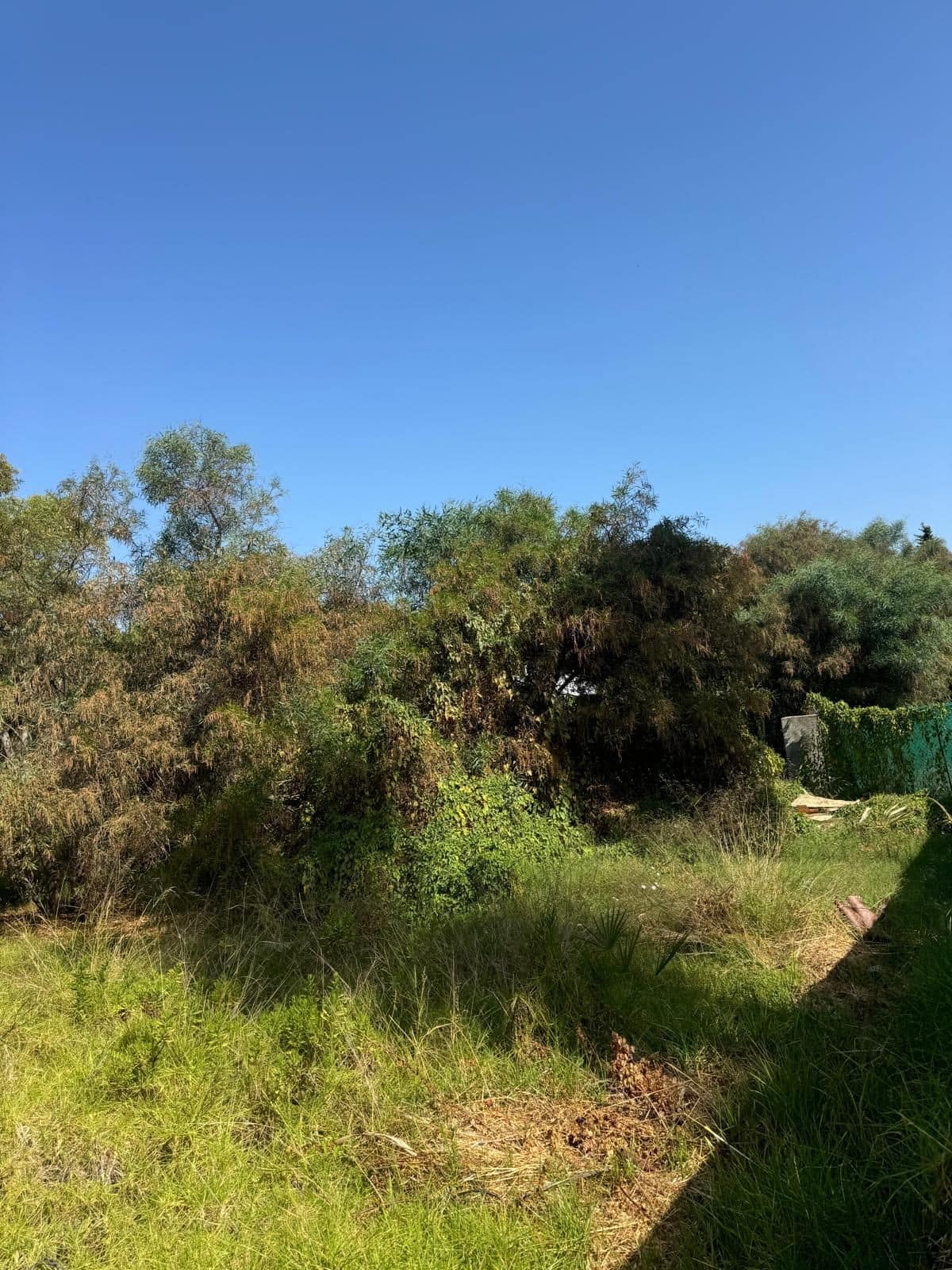 Plot in Atalaya in Atalaya - foto 3