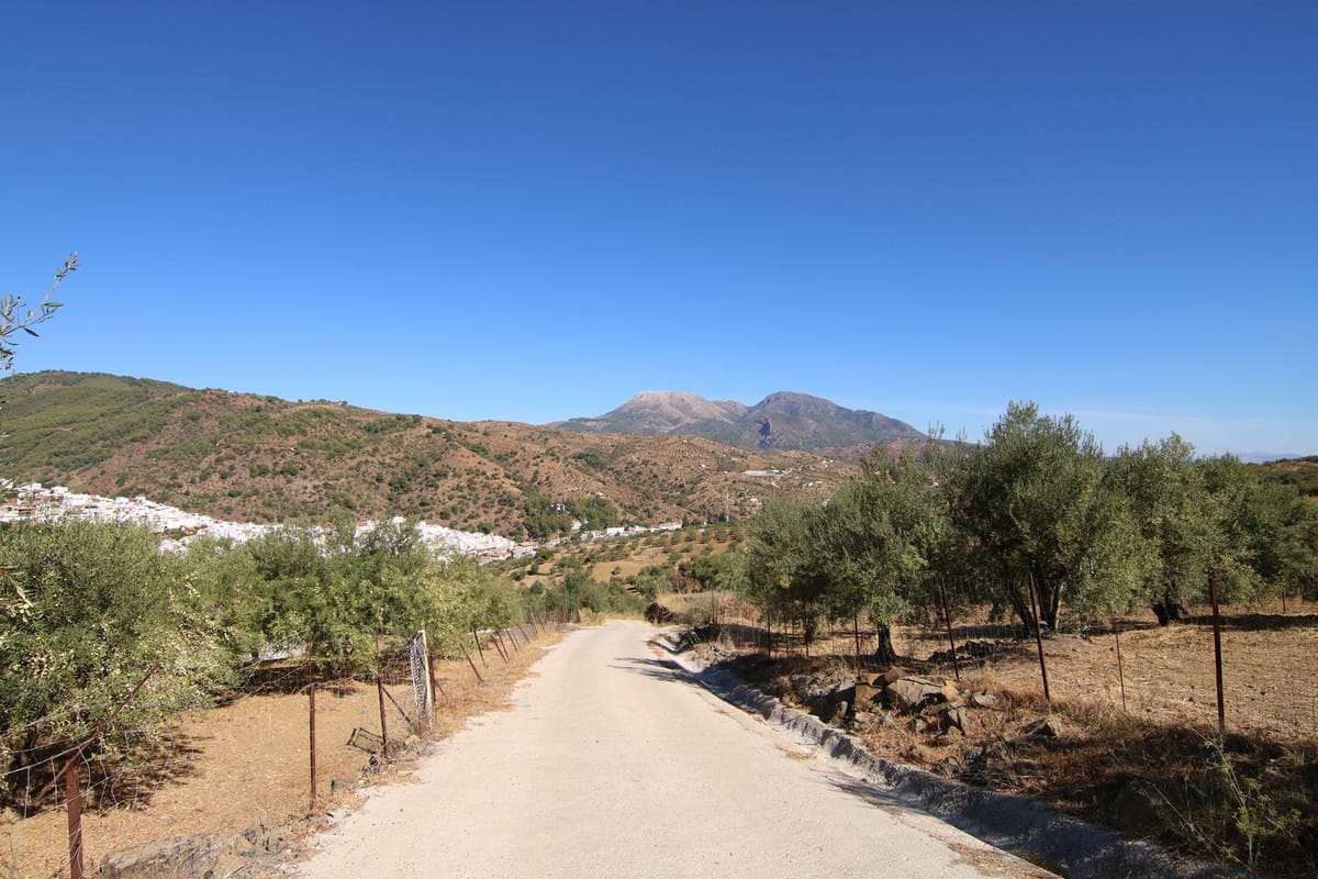 Kavel in Tolox met toeristisch project naast Nationaal Park Sierra de las Nieves in Tolox - foto 8