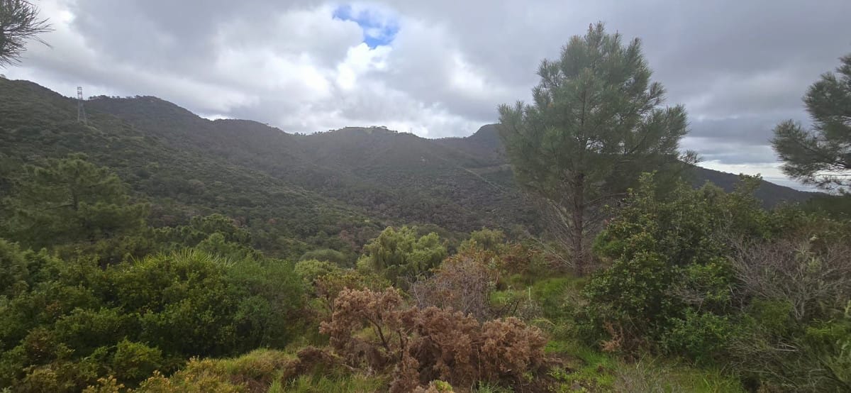 Kavel in Benahavís met panoramisch uitzicht en vergunning in Benahavís - foto 13