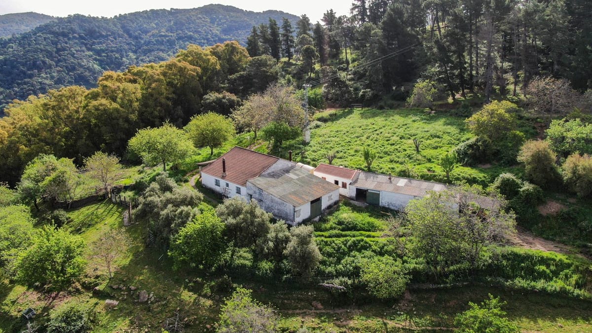 Finca met 3 slaapkamers in Gaucín in Gaucín - foto 4