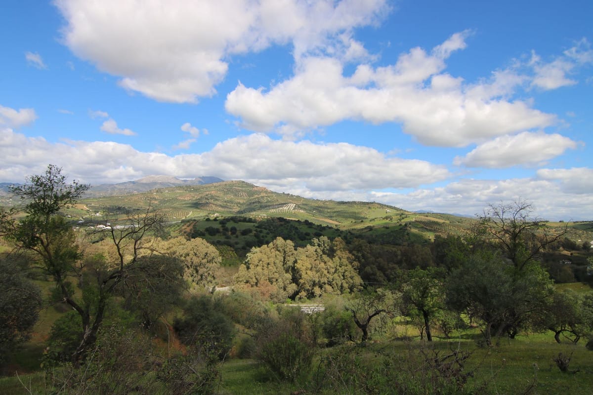 Kavel in Guaro in Guaro - foto 18