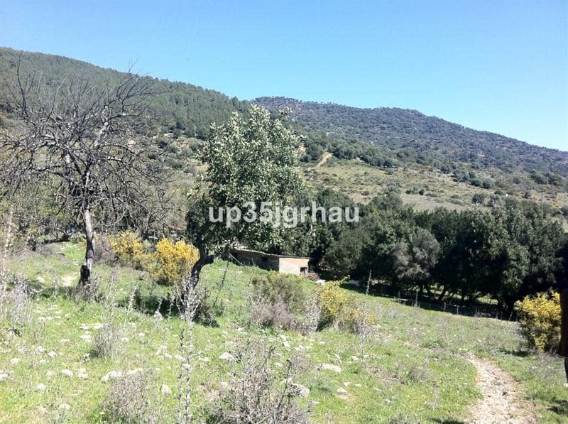 Kavel te koop in Gaucín, Málaga – perceel van 360.000 m² in Gaucín - foto 10