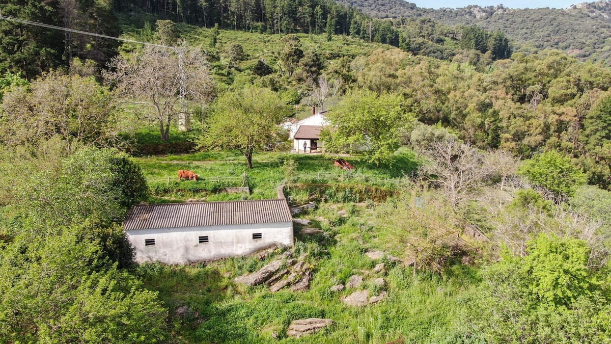 Finca met 3 slaapkamers in Gaucín in Gaucín - foto 12
